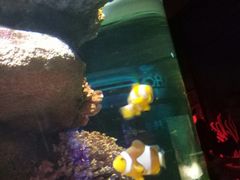 -暹罗海洋世界