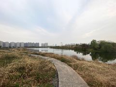 -洋湖国家湿地公园