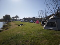 -贡湖湾湿地公园