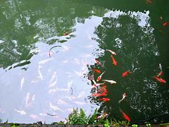-常德桃花源景区