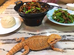 -金百万烤鸭店(马甸店)