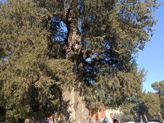 -中关村生命科学园