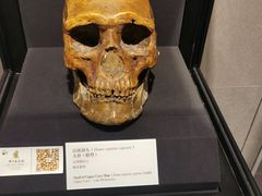 -北京周口店北京人遗址博物馆