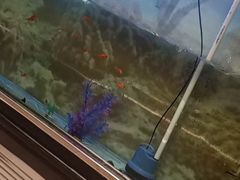 -德全心悦酒店(北京金台路地铁站店)