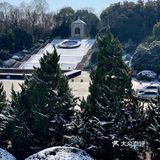 青松挺且直