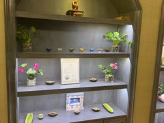 -樱蘭全息养生馆(三里屯店)