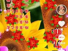 -合和大唐足道·泰式·SPA (凤城五路店)