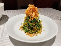 巧拌豆苗-四季民福烤鸭店(王府井灯市口店)
