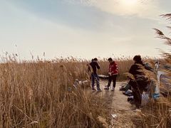 -南汇嘴观海公园