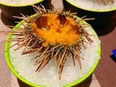 海胆-海天盛宴海鲜自助(正大广场店)