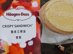 -哈根达斯(烟台振华店)