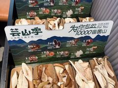 -芸山季·云南山珍菌火锅(人民广场来福士店)
