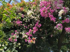 -祥源·阜阳生态乐园