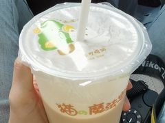 -猫的魔法密林(衣裳街店)