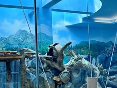 -武汉动物园