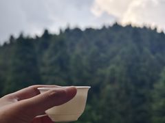 -武陵山森林公园