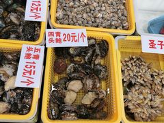-老字号蛇口德记烧腊饭店·海鲜加工