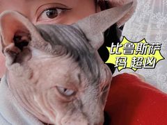 -共舞时光猫咖·狗咖(新街口店)