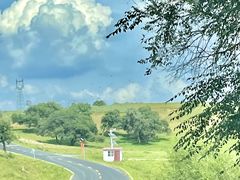 -御道口草原森林风景区