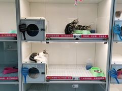 -lincat·猫舍(广州店)