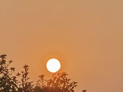 -火炉山森林公园