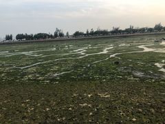-龙舟池