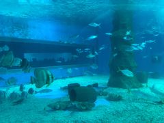 -北戴河圣蓝海洋公园