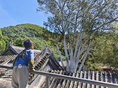 -潭柘寺景区