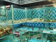 -农汤老店(顺联公园里店)