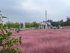 -嘉北郊野公园