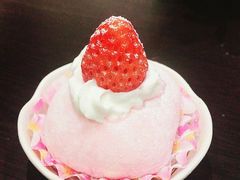 草莓大福-逗柴咖啡屋·狗咖猫咖宠物桌游