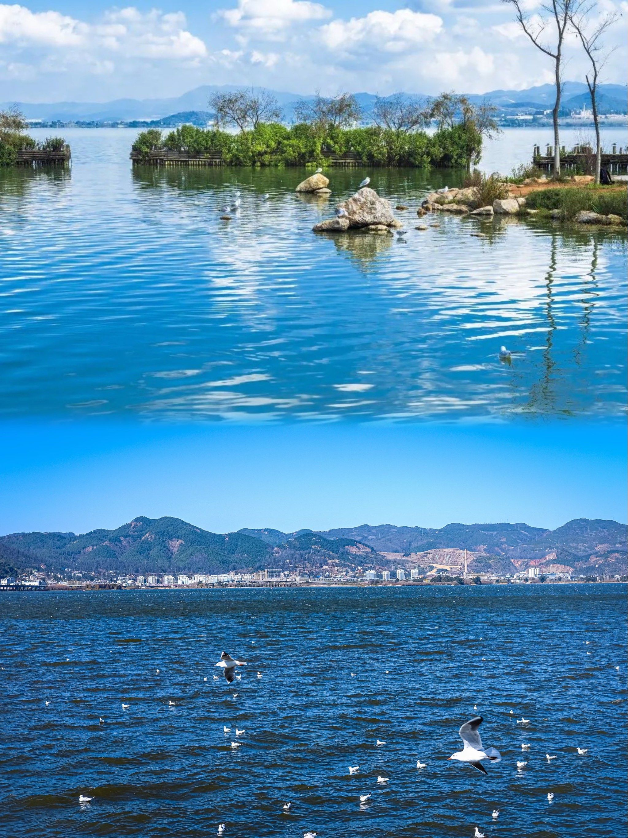 创作者赏金计划#山川湖海收集计划
🌅 滇池,位于昆明市区南部是 