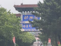 -西霞口神雕山野生动物世界