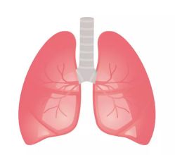 -姜美堂·蒸姜除湿の纤体美颜馆