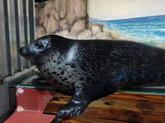 -福州罗源湾海洋世界旅游区