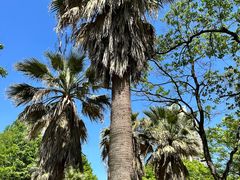 -苏州河梦清园环保主题公园