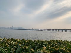 -宝安西湾红树林湿地公园