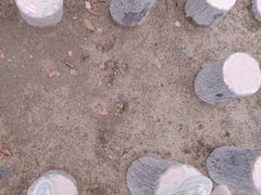 -春花秋色城市公园