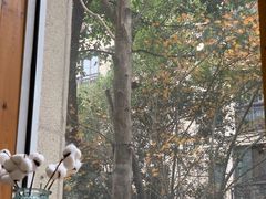 -COTTON CAFE(德信·中外公寓店)