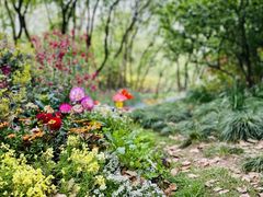 -上海共青森林公园