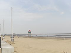 -碧海金沙