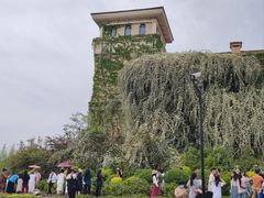 -府河摄影公园