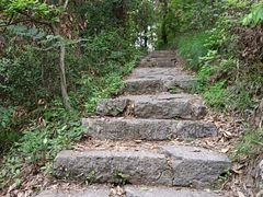 -青龙山国家森林公园
