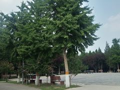 -东升八家郊野公园
