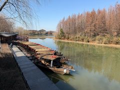 -溱湖国家湿地公园