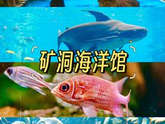 -长鹿旅游休博园