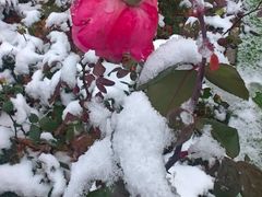 -世界之窗阿尔卑斯冰雪世界