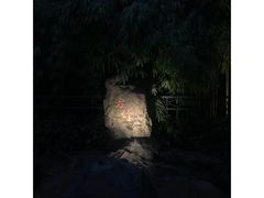 -杭州黄龙洞