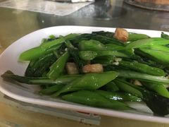 -鲤鱼塘农家山庄