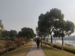 -羊山湖公园